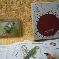 Quartett DDR Karten Spielkarte > Vogel-Welt < Pößneck Lernmittel Altenburg Top