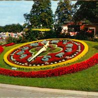 AK mit Blumenuhr Uhr in Genf in Farbe