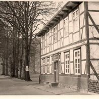 Foto aus Zeeven in Holland - Kirche Allee von 1964