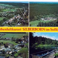 AK Silberborn im Solling 4-Bildkarte in Farbe