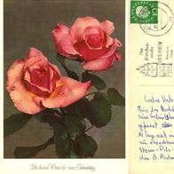 AK Rote Rosen zum Geburtstag von 1961 in Farbe