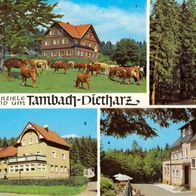 AK Tambach-Dietharz Berghotel Ebertswiese Falkenstein Rodebachmühle Waldbaude farbig