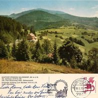 AK Neuenweg Schönau Schwarzwald Gasthof Pension Haldenhof von 1977 in Farbe