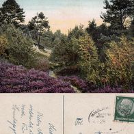 AK Lüneburger Heide Schlucht im Kleckerwald in Farbe 20er / 30er Jahre