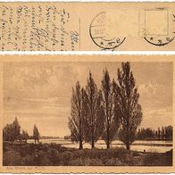 AK Rhein bei Kehl Zeichnung 20er Jahre