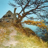 AK Hartmannswillerkopf Vieil-Armand Deutsches Jägerdenkmal 1914-18 farbig - unbenutzt