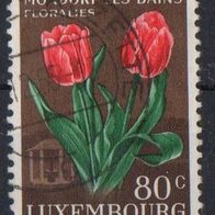 Luxemburg gestempelt Michel 531