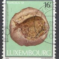 Luxemburg gestempelt Michel 1110