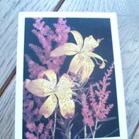 wunderbare Ansichtskarte, Postkarte, 1