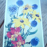 wunderbare Ansichtskarte, Postkarte, 2