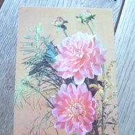 wunderbare Ansichtskarte, Postkarte, 4