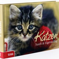 Katzen: Sanft & Eigenwillig