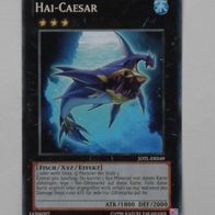 JOTL-DE049, Hai-Caesar, 2. Auflage (T*)