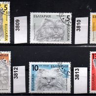 H128 Bulgarien Mi. Nr. 3808 bis 3813 Katzen (kompl. Satz) o <