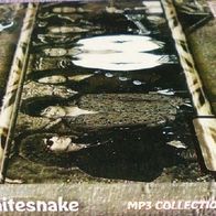 Whitesnake - Collection - 2CD MP3 - Rare - 18 albums, 181 songs - Digipak