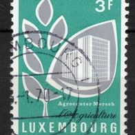 Luxemburg gestempelt Michel 795