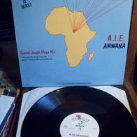 Africa - 12" A.I.E. (Amwana) - special jungle Megamix - n. mint !