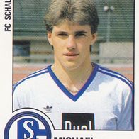 Schalke 04 Panini Sammelbild 1988 Michael Klinkert Bildnummer 278