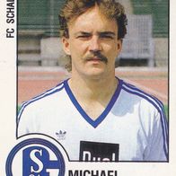 Schalke 04 Panini Sammelbild 1988 Michael Opitz Bildnummer 284