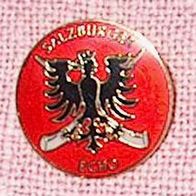 D Anstecker Pin Button Salzburger Echo Ø ca. 2,5 cm einandfrei erhalten