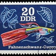 DDR Michel 2178 Gestempelt o - Zierfisch: Fahnenschwanz-Guppy