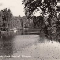 AK Dübener Heide Mark Naundorf Königsee s/ w unbenutzt