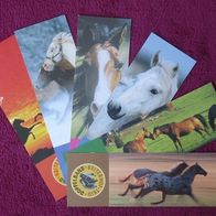 NEU: 6 Lesezeichen Pferde "Reiterhof-Trio" beidseitig bedruckt Bookmark Pappe