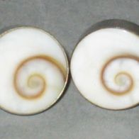 Shiva-Eye Ohrstecker (Operculum) - 11mm - 925er Silber