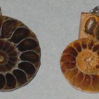 2* Kettenanhänger Ammonit - 27mm * 22mm (ohne Öse) - Öse Silber 925