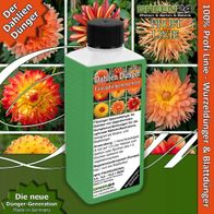 schnittknoblauch düngen Schnittknoblauch Saatgut – Küchenkräuter main image 1