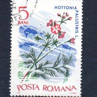 Rumänien Nr. 2525 gestempelt (2401)