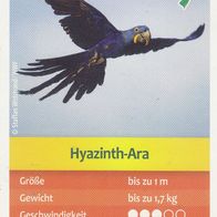 Entdecke Brasilien. Sammelbild Hyazinth-Ara Nr.96