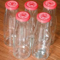 5 Glasflaschen mit Schraubverschluss, Aufbewahrungsgefäß, selbstgemachte Säfte