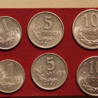 6 alte Münzen aus Polen mit Groszy-Werten (Zlotych-Untergliederung)