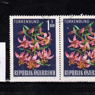 H511 Österreich Mi. Nr. 1210 - 2-fach - Alpenflora Türkenbund o <