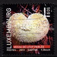 Luxemburg gestempelt Michel 1991