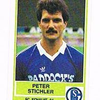 Panini Fussball 1985 Peter Stichler FC Schalke 04 Bild 143