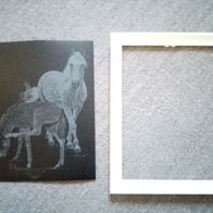 Mammut Scraper Kratzbild silber mit weißem Rahmen Pferd Fuchs NEU