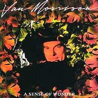 Van Morrison - A Sense Of Wonder - 12" LP - Mercury 422-822 895 (UK) 1984
