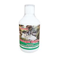 Femanga Fadenalgen Stopp Speed flüssig 500ml Gartenteich kaufen bei