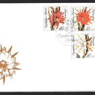 DDR 1989 Blattkakteenzüchtungen MiNr. 3276 - 3278 FDC gestempelt -3-