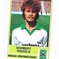 Panini Fussball 1985 Norbert Ringels Borussia Mönchengladbach Bild 267