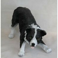 Gartenfigur Border Collie spielend 2282 Hund Garten lebensecht Figur