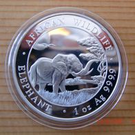 1 oz Silbermünze Somalia Elefant (Elephant) 2019 , in Münzkapsel