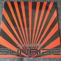 DJ Biggs - Sunrize / The Hunter °°°12" UK 1995