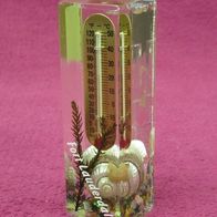 Vintage Thermometer "Fort Lauderdale" Acryl Muscheln Wasser gefüllt Ocean Sea