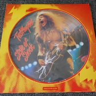 Ted Nugent - State Of Shock °°°Promo Picture Disc US 1979