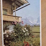 Ak. Berge - Landschaft - Pickenhahn Verlag Chemnitz Nr. 510 - nicht gelaufen