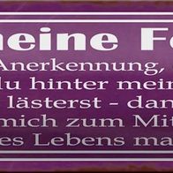 Blechschild Spruch 46x10 cm für meine Feinde dein Neid ist Deko Schild