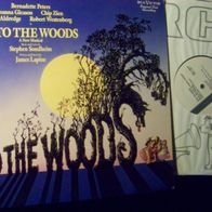 Into the woods - US Musical Stephen Sondheim / J. Lapine ´88 US RCA DoLp - mint !!